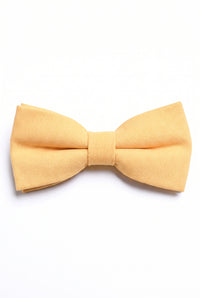 Men’s Beige Double Layer Bow Tie