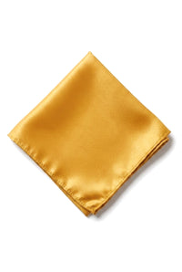 Cavani Satin Tie - Mens Matching Satin Silk Tie Hanky Hankerchief & Tie Clip Polka Dot Wedding Prom Office