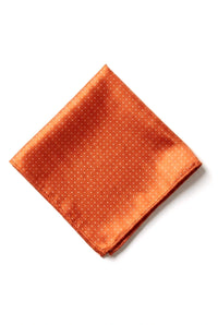 Cavani Satin Tie - Mens Matching Satin Silk Tie Hanky Hankerchief & Tie Clip Polka Dot Wedding Prom Office