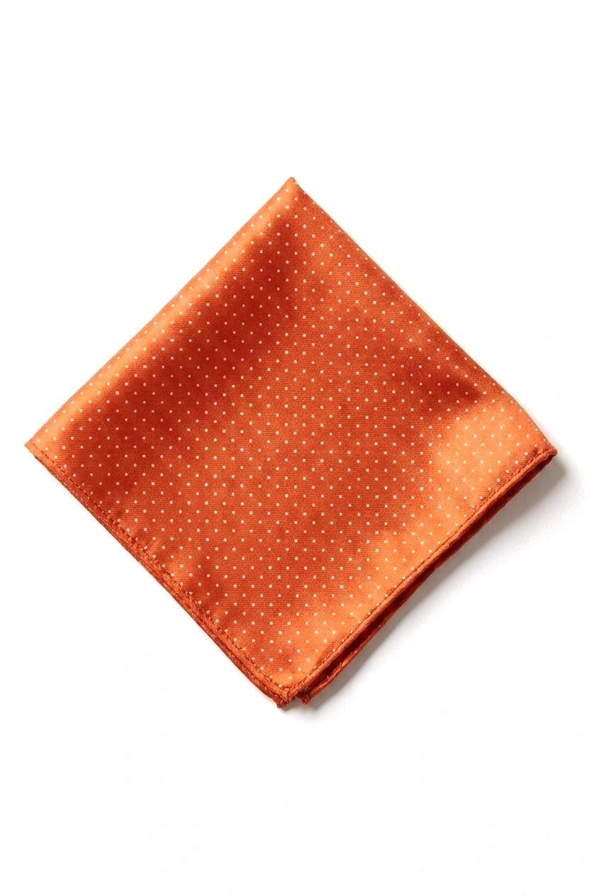 Cavani Satin Tie - Mens Matching Satin Silk Tie Hanky Hankerchief & Tie Clip Polka Dot Wedding Prom Office