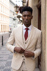 Men’s Burgundy Paisley Tie