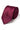 Men’s Burgundy Tie Set