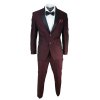 Mens Wine Tuxedo Dinner Suit
