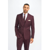 Caridi - Men's Burgundy Checked Blazer